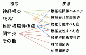 腰痛の機序と疾患を説明した図