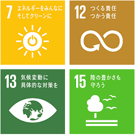 SDGS 07,12,13,15