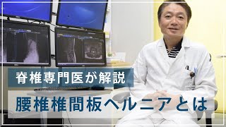 腰椎椎間板ヘルニアとは