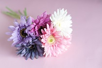 お花の画像