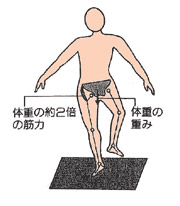 片足で立ったとき股関節に外側に必要な筋肉を説明したイラスト